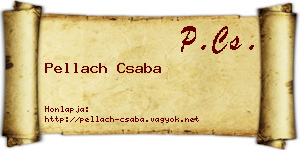 Pellach Csaba névjegykártya